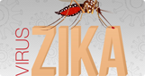 지카바이러스